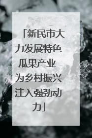 新民市大力发展特色瓜果产业 为乡村振兴注入强劲动力
