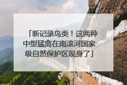 新记录鸟类！这两种中型猛禽在南滚河国家级自然保护区现身了