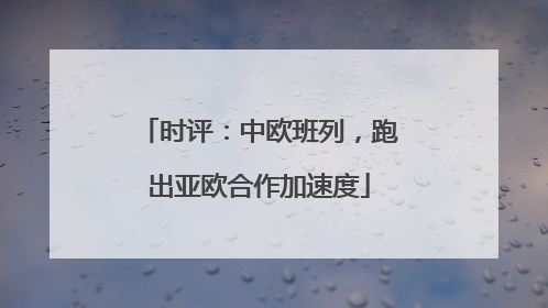 时评：中欧班列，跑出亚欧合作加速度