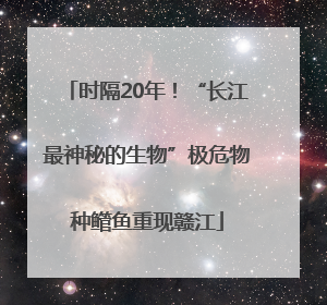 时隔20年！“长江最神秘的生物”极危物种鳤鱼重现赣江