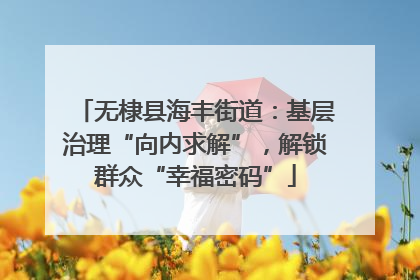 无棣县海丰街道：基层治理“向内求解”，解锁群众“幸福密码”