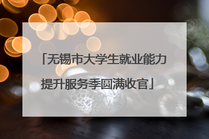 无锡市大学生就业能力提升服务季圆满收官