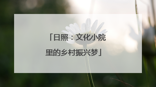 日照：文化小院里的乡村振兴梦
