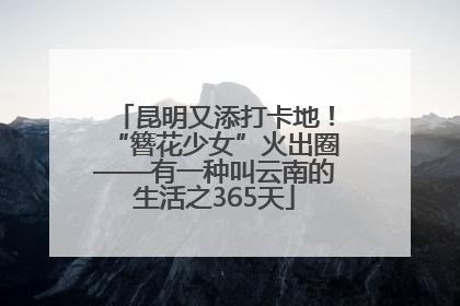 昆明又添打卡地！“簪花少女”火出圈——有一种叫云南的生活之365天