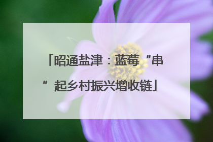 昭通盐津：蓝莓“串”起乡村振兴增收链