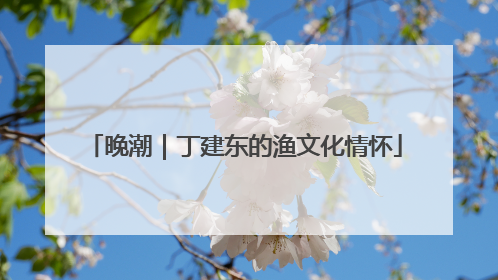 晚潮｜丁建东的渔文化情怀