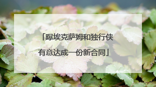 曝埃克萨姆和独行侠有意达成一份新合同