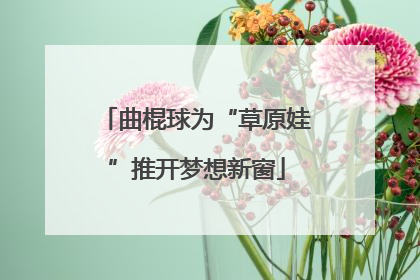 曲棍球为“草原娃”推开梦想新窗