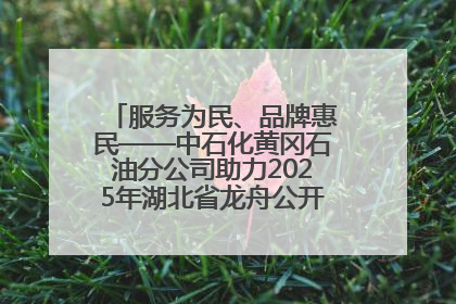 服务为民、品牌惠民——中石化黄冈石油分公司助力2025年湖北省龙舟公开赛（黄冈站）