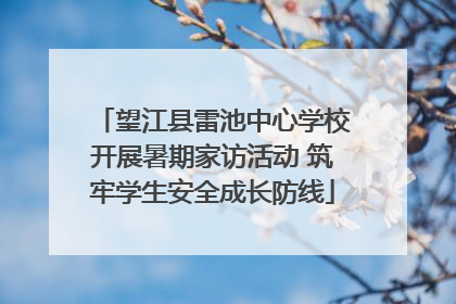 望江县雷池中心学校开展暑期家访活动 筑牢学生安全成长防线