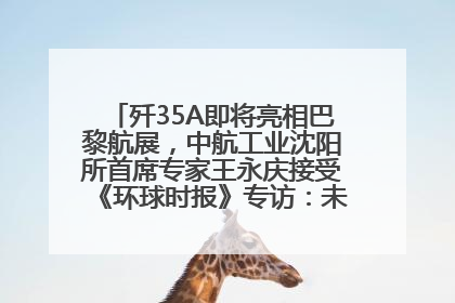 歼35A即将亮相巴黎航展，中航工业沈阳所首席专家王永庆接受《环球时报》专访：未来数量可以有很多