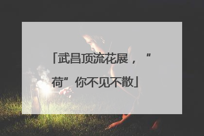 武昌顶流花展，“荷”你不见不散