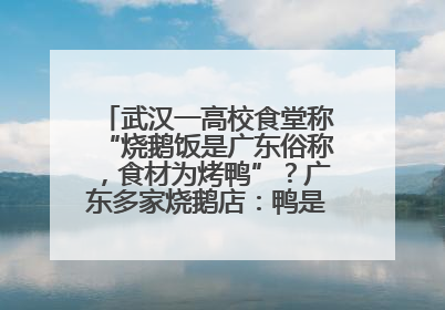 武汉一高校食堂称“烧鹅饭是广东俗称，食材为烤鸭”？广东多家烧鹅店：鸭是鸭鹅是鹅