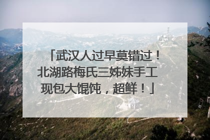 武汉人过早莫错过！北湖路梅氏三姊妹手工现包大馄饨，超鲜！