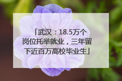 武汉：18.5万个岗位托举就业，三年留下近百万高校毕业生