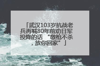 武汉103岁抗战老兵再喊80年前劝日军投降的话 “缴枪不杀，放你回家”