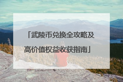武陵币兑换全攻略及高价值权益收获指南
