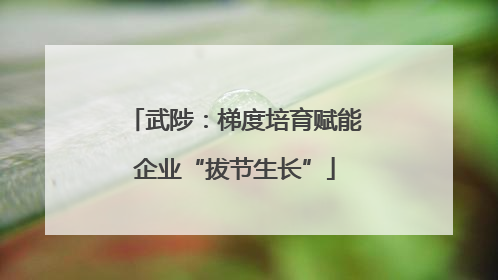 武陟：梯度培育赋能企业“拔节生长”