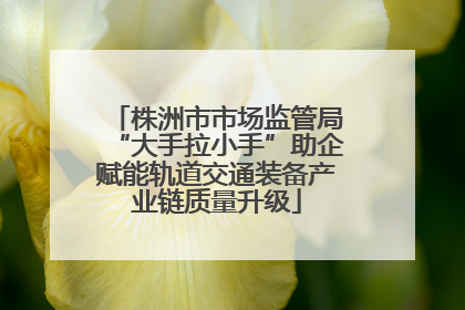 株洲市市场监管局“大手拉小手”助企赋能轨道交通装备产业链质量升级
