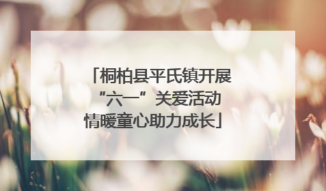 桐柏县平氏镇开展“六一”关爱活动 情暖童心助力成长