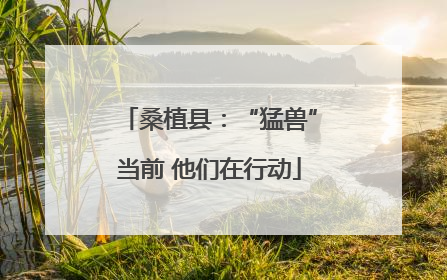 桑植县：“猛兽”当前 他们在行动