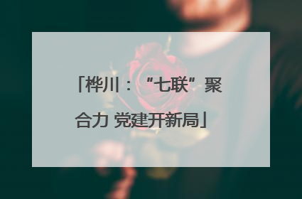 桦川：“七联”聚合力 党建开新局