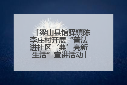 梁山县馆驿镇陈李庄村开展“普法进社区‘典’亮新生活”宣讲活动