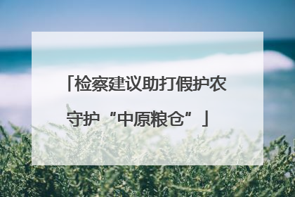 检察建议助打假护农守护“中原粮仓”