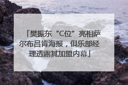樊振东“C位”亮相萨尔布吕肯海报，俱乐部经理透露其加盟内幕