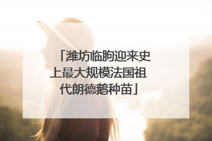 潍坊临朐迎来史上最大规模法国祖代朗德鹅种苗