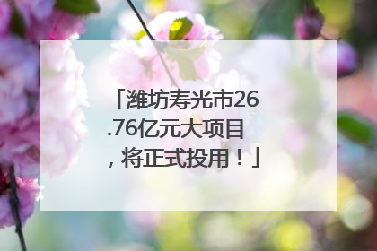潍坊寿光市26.76亿元大项目，将正式投用！