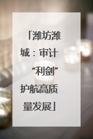 潍坊潍城：审计“利剑”护航高质量发展