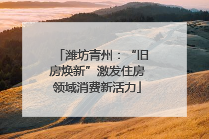 潍坊青州：“旧房焕新”激发住房领域消费新活力