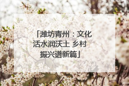 潍坊青州：文化活水润沃土 乡村振兴谱新篇