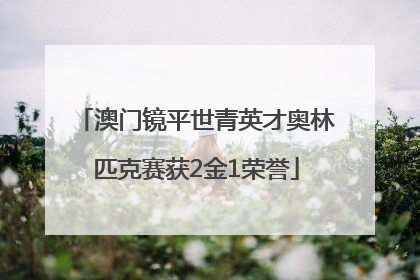澳门镜平世青英才奥林匹克赛获2金1荣誉