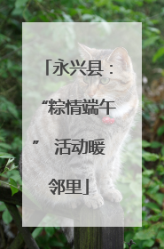 永兴县：“粽情端午” 活动暖邻里