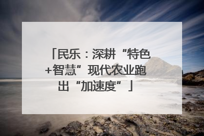 民乐：深耕“特色+智慧”现代农业跑出“加速度”