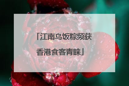 江南乌饭粽频获香港食客青睐