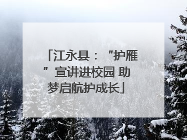 江永县：“护雁”宣讲进校园 助梦启航护成长