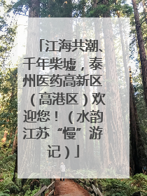 江海共潮、千年柴墟，泰州医药高新区（高港区）欢迎您！（水韵江苏“慢”游记）