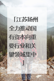 江苏扬州全力推动国有资本向重要行业和关键领域集中