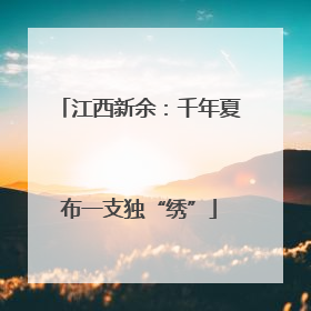 江西新余：千年夏布一支独“绣”