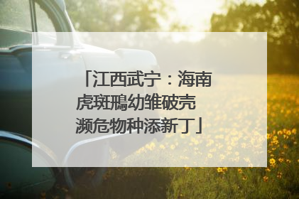 江西武宁：海南虎斑鳽幼雏破壳 濒危物种添新丁
