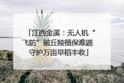 江西金溪：无人机“飞防”破丘陵植保难题 守护万亩早稻丰收