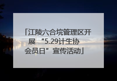 江陵六合垸管理区开展 “5.29计生协会员日”宣传活动