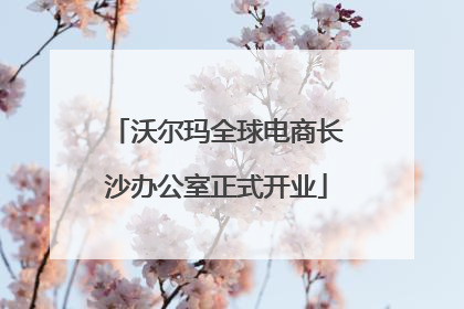 沃尔玛全球电商长沙办公室正式开业