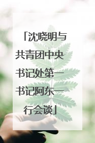 沈晓明与共青团中央书记处第一书记阿东一行会谈