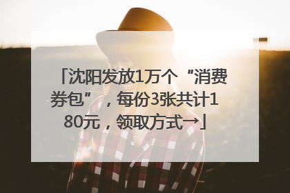 沈阳发放1万个“消费券包”，每份3张共计180元，领取方式→