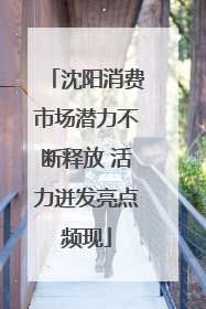 沈阳消费市场潜力不断释放 活力迸发亮点频现