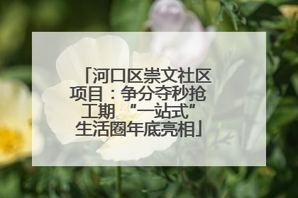 河口区崇文社区项目：争分夺秒抢工期 “一站式”生活圈年底亮相